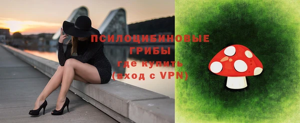 стаф Алексин
