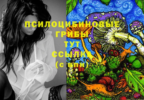 твердый Алексеевка