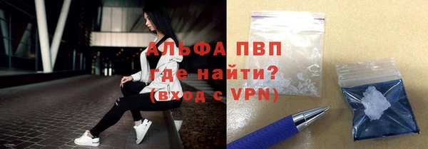 стаф Алексин