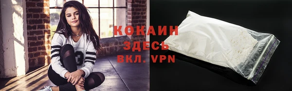 твердый Алексеевка