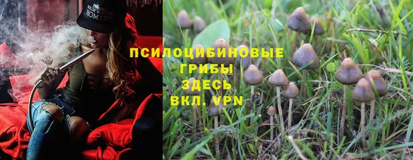 твердый Алексеевка