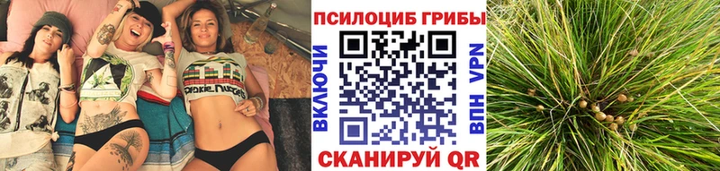 Псилоцибиновые грибы Psilocybe даркнет сайт Апатиты